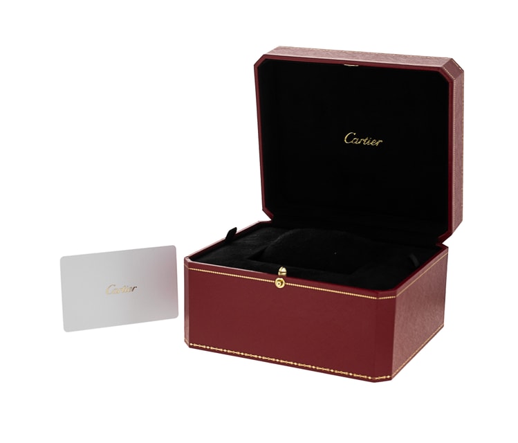 Cartier Santos 100 W20121U2 Image 4